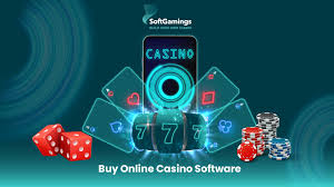 The particular Escalate regarding On the web Casino houses: A A digital Betting Movement